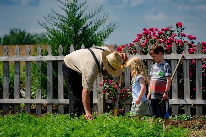 Adult showing two children something while touring a flower-filled farm garden